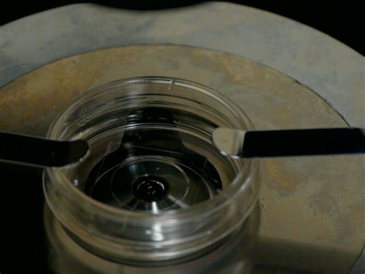 ビデオ: アストロサイトにおけるコンパートメント特異的ダイナミクスのための自発的カルシウムイメージング - 実験