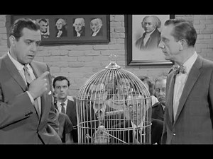 #PerryMason "The Case of the Perjured Parrot" 🦜