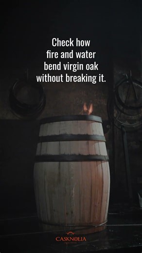 Why don’t oak staves break when we bend them into a barrel?