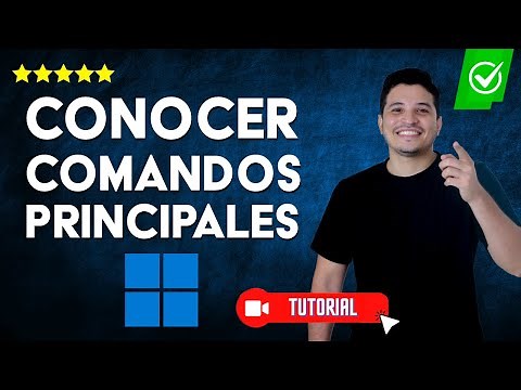 How to Learn the Basic Commands in Windows CMD? - ✅Learn the Most Useful Commands✅