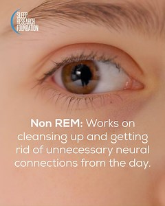 Sleep is divided into two main types: REM (Rapid Eye Movement) sleep...
