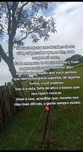 😊🙏🏻❤️ #deus_no_controle #deusefiel