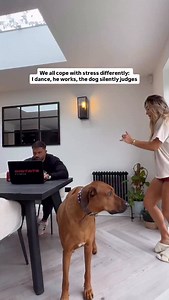 Nothing’s gonna stop me… except his blank stare and my dog’s side eye 😂 Are you me, him or the dog?? This is the reel that changed everything on this little pocket of the internet for us and reminded me to not take life so seriously and dance through the tougher days 🥰 Comment your favourite feel good song 🎵 and I’ll send you the link to my monthly dance party playlist 🎶 *guaranteed to reduce risk of monthly breakdowns 😜 . . . #danceparty #fridayfeels #hormonehealth #hormones #womenshealth 