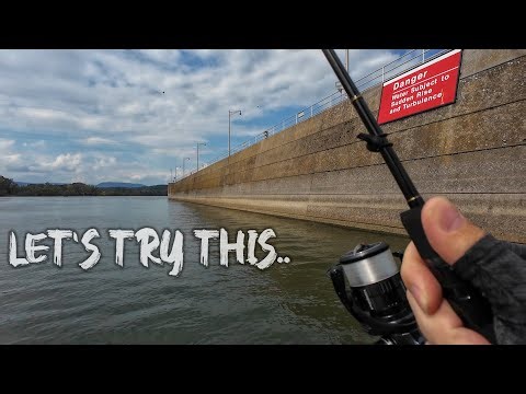 When I Do Things I Know Are Not Gona End Well