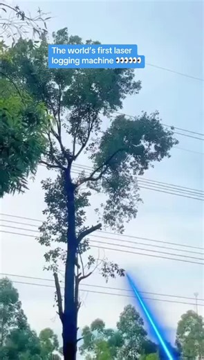 The world’s first laser logging machine 👀👀👀 #fyp #viral #viralvideo #tiktok #fy