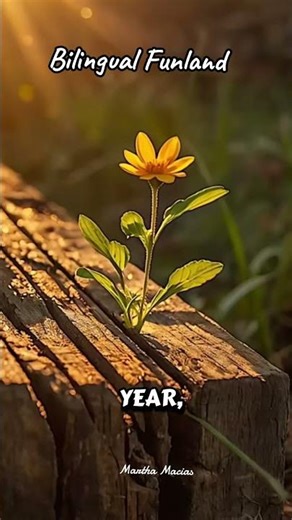 Reflections for Parents 464