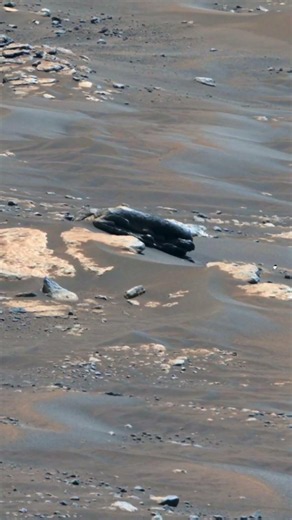 NASA's Mars Rover captured Something Strange on Mars! Perseverance rover #shorts #mars #spacescience