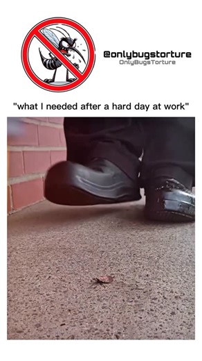 Onlybugstorture | One of the most infamous examples involves the use of insects in enclosed spaces with victims. For instance, tormentors would trap bugs... | Instagram