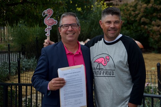 Once the subject of ridicule, plastic flamingos now official mascot of Parma