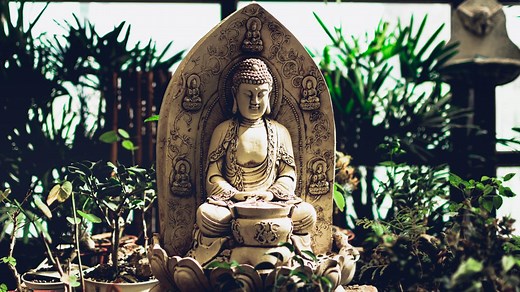 ¿Qué significa tener un buda en casa y cómo elegir el mejor para ti?