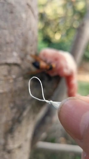 🙌🙌🙌#satisfying #tiktok #beekeeper #wasp #usa #foryou #honey #honey