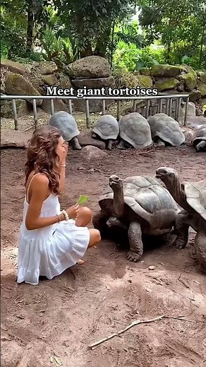 5 best things to do in Seychelles🏝