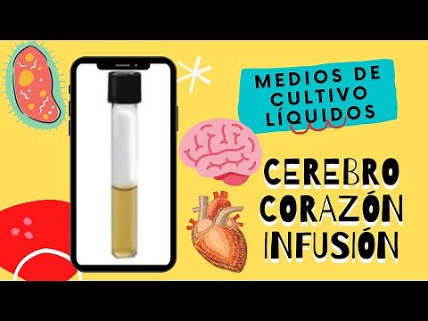 AGAR CEREBRO CORAZON INFUSION l BRAIN HEART INFUSION l MEDIOS DE CULTIVO LÍQUIDOS MICROBIOLOGÍA