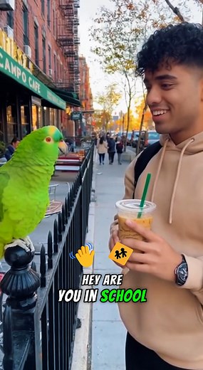 “Which Class Is Difficult? 💀 Parrot’s Answer Had Everyone Screaming!” #ParrotRoast #FunnyAnimals #SavageParrot #ComedyReel #MrBeastStyle #ViralShorts #TalkingParrot #AnimalHumor #BirdComedy | Wicked Memes