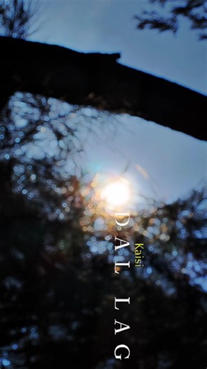 💫📈Meri Zindagi Hai Tu #songstatus #tarindingsong #viralreals tranding#whatsapp_status