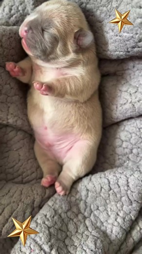 Filmy użytkownika DORCIA..❤️ (@dorotakaz5) z muzyką Relaxing Piano Music - Relaxing Piano Music: Greatest Hymns: Best Loved Religious Hymns and Spiritual Songs for Christian D