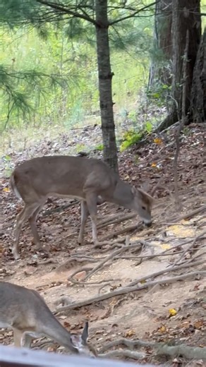 Kathie Ware on Reels