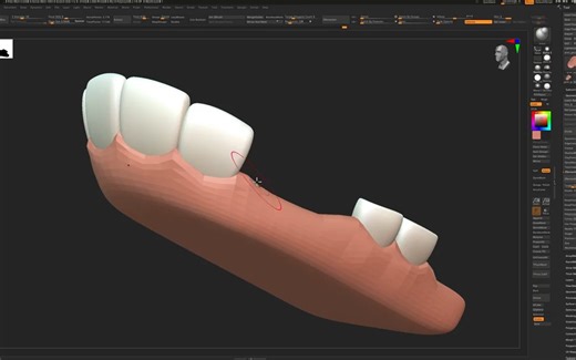 2. Modeling The Teeth & Gum
