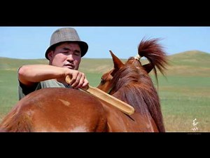 Босоо цагаан хийморь - Ю.Энхбаатар Bosoo tsagaan hiimori - Enhbaatar