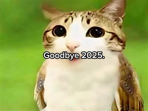 such a weird year and I love it #2025 #nostalgia | 2025 nostalgia