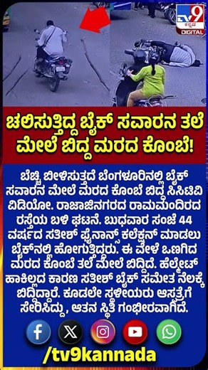 Tree branch fall on Biker: ತಲೆ ಮೇಲೆ ಮರದ ಕೊಂಬೆ ಬಿದ್ದ ಬೈಕ್ ಸವಾರನ ಸ್ಥಿತಿ ಗಂಭೀರ! | #TV9D