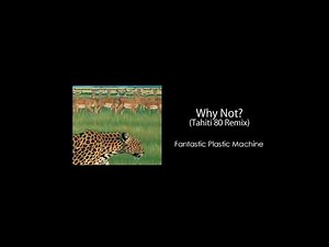 Fantastic Plastic Machine / Why Not? (Tahiti 80 Remix)