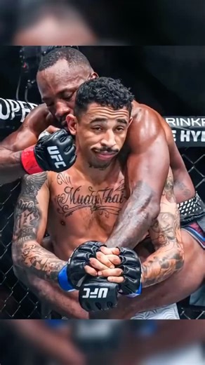 Prates : Best Knockout Punches UFC