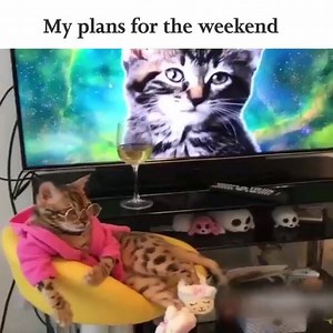 624K views · 7.8K reactions | Laughter Remix on Reels | Facebook