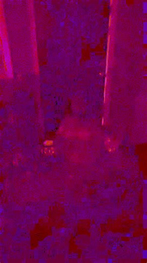 Happy Halloween | Alyssa Russell Clark