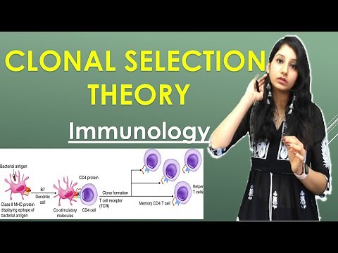 Clonal Selection Theory I Immunology | CSIRNET | NEET | IITJAM | GATE | DBT | GATB | TIFR | CUET
