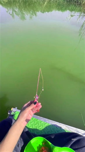 Easy Fishing Method Catching Big Fish with Simple Rod #fishing #shortvideo