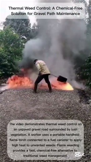 How Direct Flame Application Eliminates Unwanted Roadside Vegetation Fast
