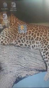 How to open up a new folder on the computer using the keyboard and mouse