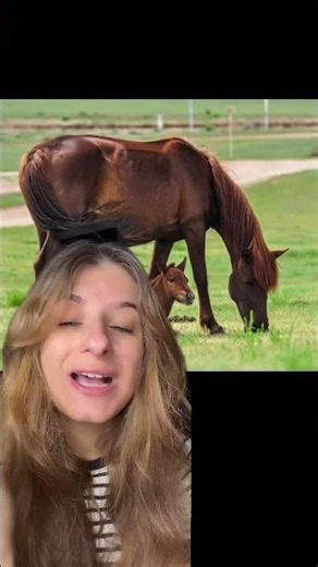Pourquoi ce passeport est obligatoire ? 🐴