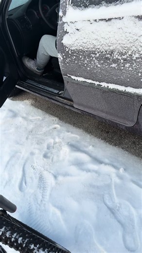 Cold Start of Volkswagen 1.9 TDI in -20°C Weather