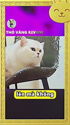 Hóa ra lời đồn là thật 🤣