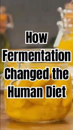 How Fermentation Changed the Human Diet #foodfacts