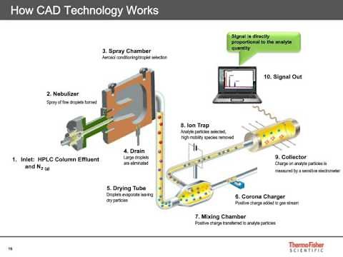Charged Aerosol Detection Applications in Biopharmaceutical Analysis