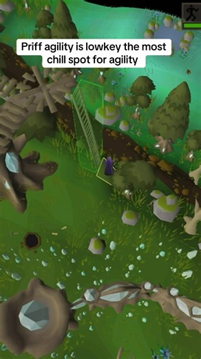 Once I get the diary cape going for 99 agility loving the skill #osrs #oldschoolrunescape #runescape #roadtodiarycape