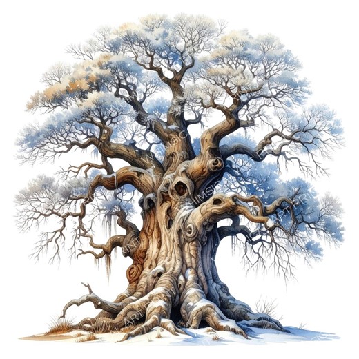 12 Winter Oak Tree of Life Clipart PNG - Watercolor Style (digital Download - Commercial Use) - Etsy