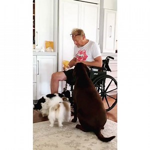 15K views · 802 reactions | Cactus Moser brings it! #MorningsWithMoser | Wynonna | Facebook