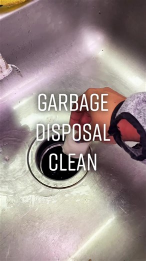 Cleaning TikTok Vore Disposal Toilet POV