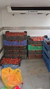 4.3K views · 34 reactions | Au ajuns capsuni , va așteptăm | Fresh Market | Facebook