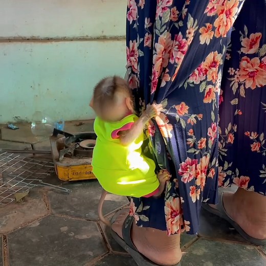 Lil Bill Acts Very Happy & Huq Mom's Feet While Busy Prepare His Snack | Monkeys TV