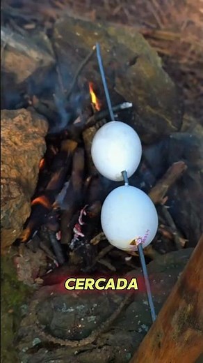 It looks delicious: #funfacts #camping