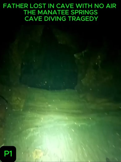 Manatee Springs Cave Diving Tragedy: A Father's Loss