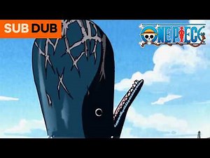 Luffy's Promise with Laboon | ONE PIECE