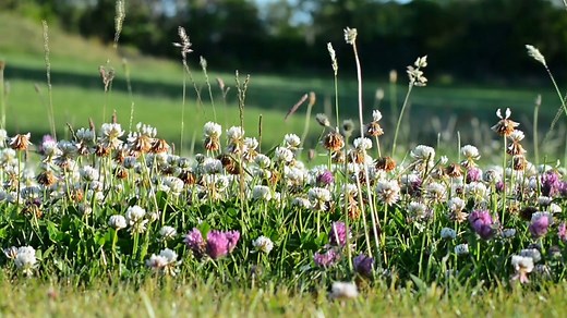 The Ignatian Way: Finding God in All Things