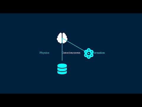 35 - RECURSIVE REALITY