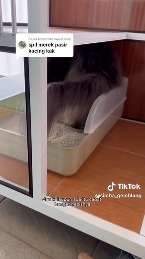 Membalas @sweet.less pasir gumpal yang aku pake dari merk forcats! Pasir gumpal yg menurutku paling the best dan bagus banget.. gara gara pasir ini aku mau pake lagi pasir bentonite. Sebelumnya selalu pake pasir tofu.. #pasirbentonite #pasirkucing #forcats #forpets #fakebody #fakesituation